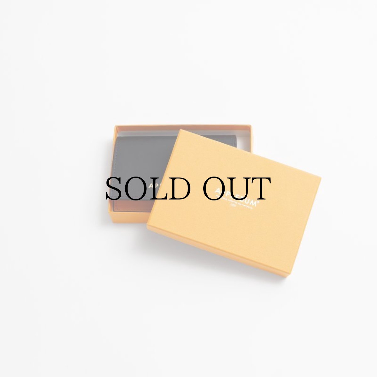 画像10: APPLEBUM(アップルバム) / Leather Card Case (10)