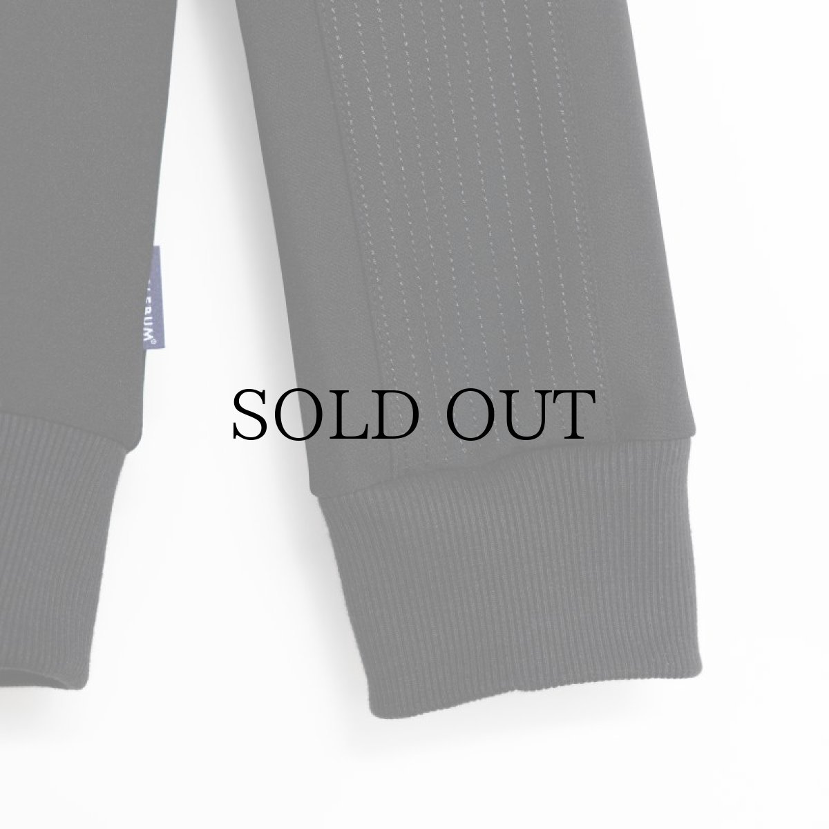 画像6: APPLEBUM(アップルバム) / Full Zip Jersey (6)