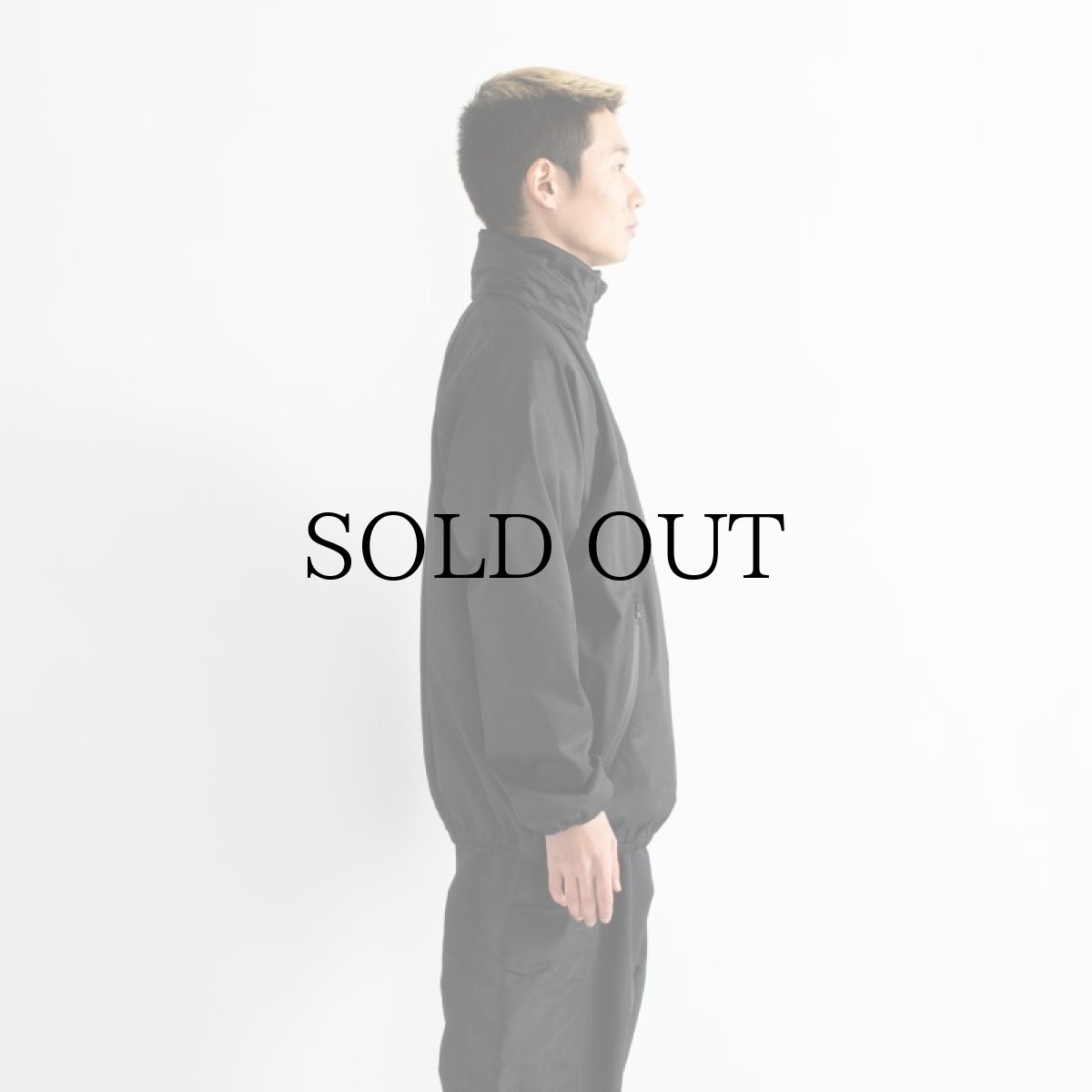 画像17: APPLEBUM(アップルバム) / High Tech Half Zip Anorak (17)