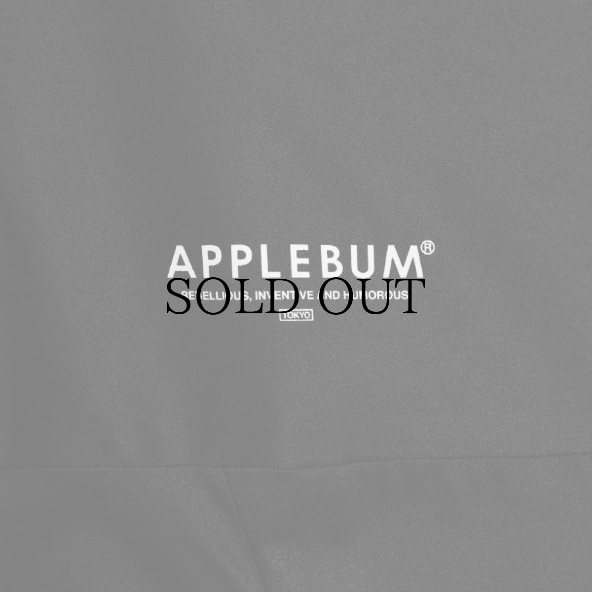 画像8: APPLEBUM(アップルバム) / High Tech Half Zip Anorak (8)