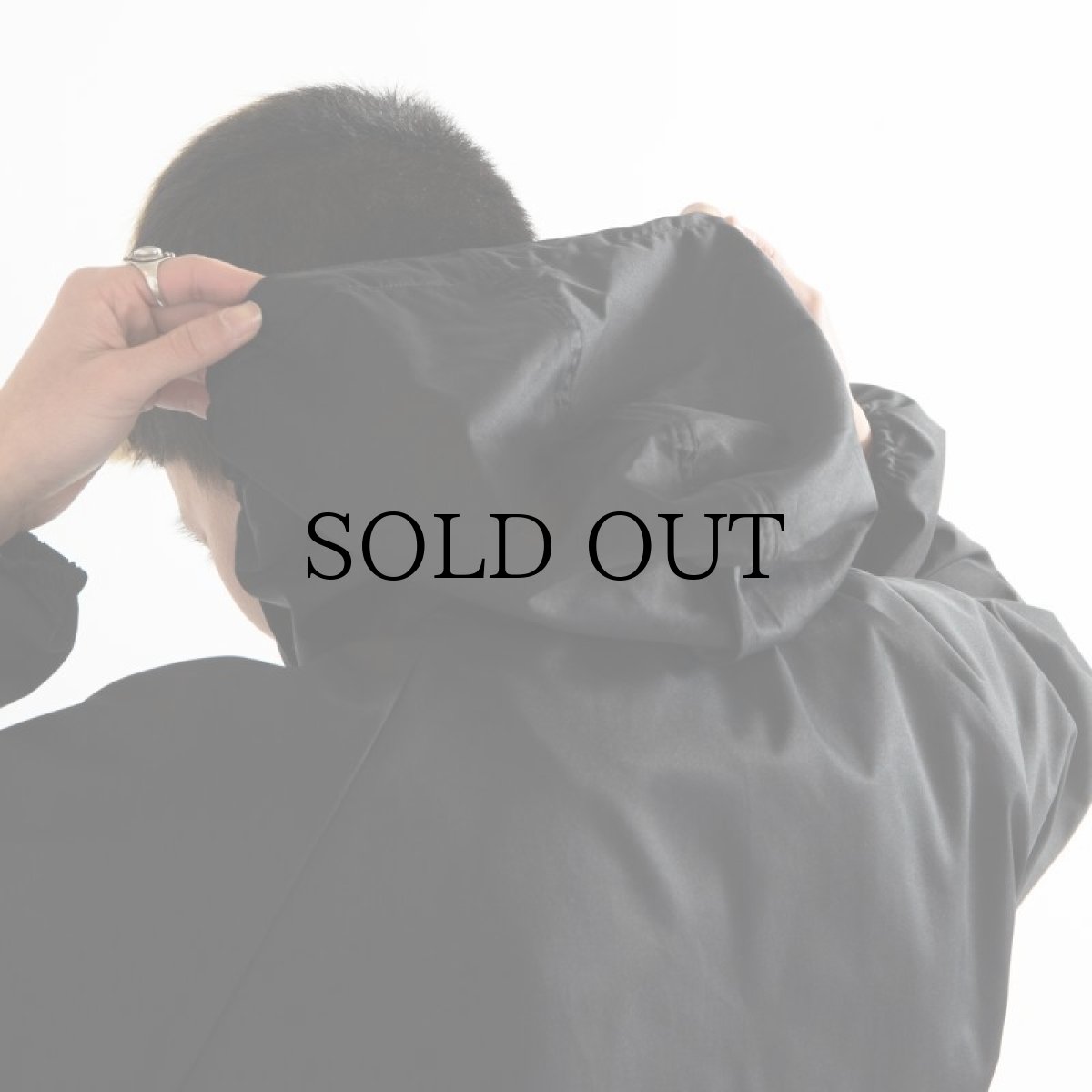 画像21: APPLEBUM(アップルバム) / High Tech Half Zip Anorak (21)