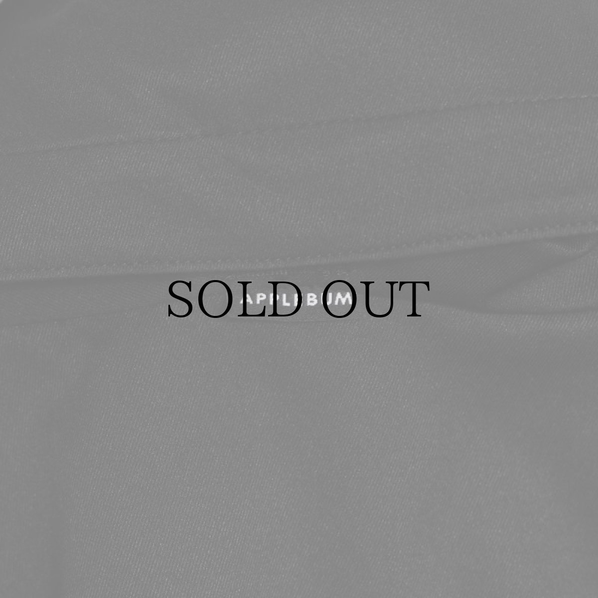 画像10: APPLEBUM(アップルバム) / High Tech Half Zip Anorak (10)