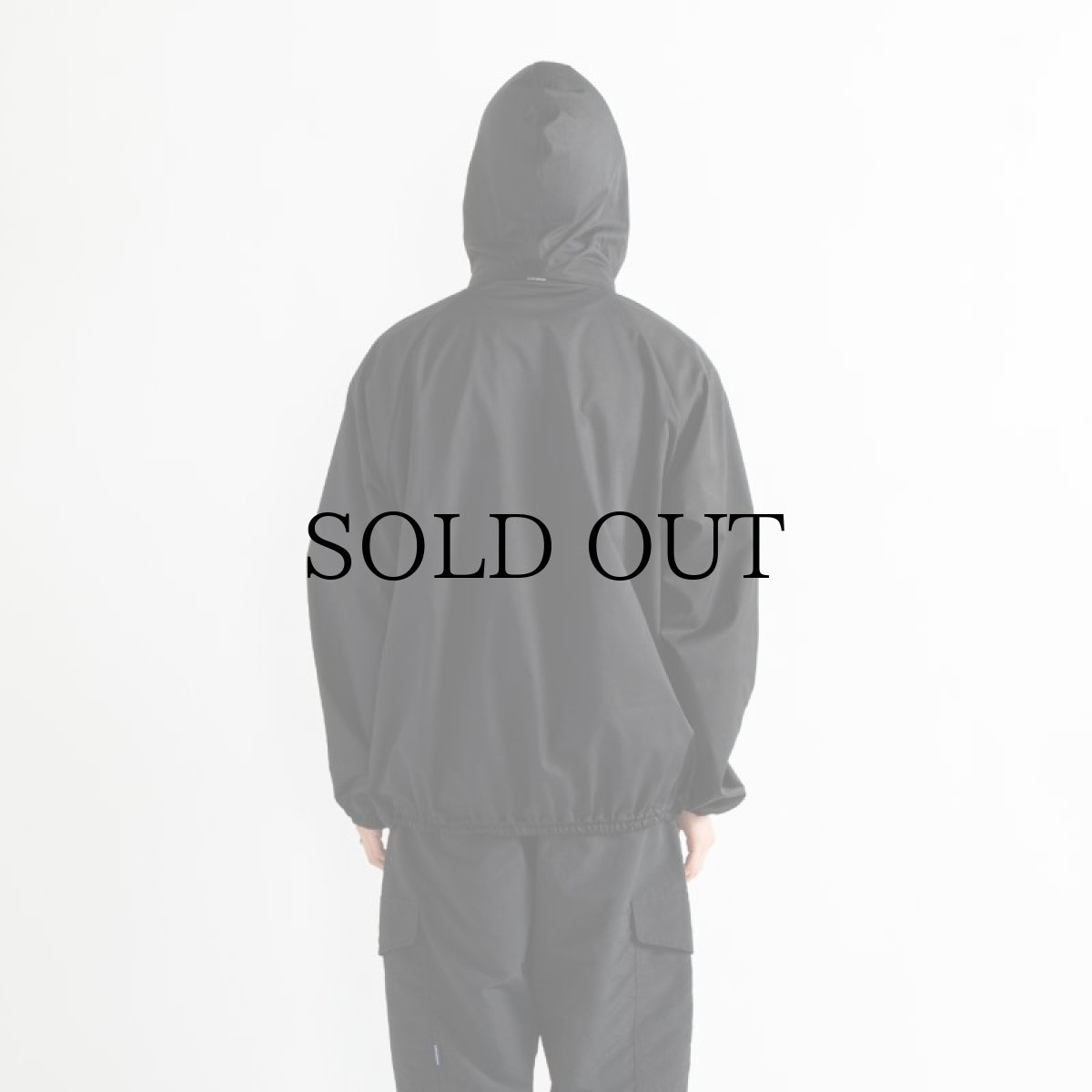 画像19: APPLEBUM(アップルバム) / High Tech Half Zip Anorak (19)