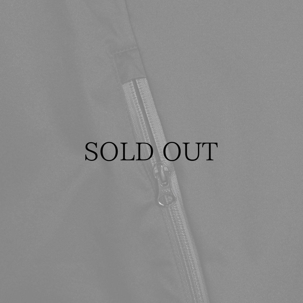 画像14: APPLEBUM(アップルバム) / High Tech Half Zip Anorak (14)