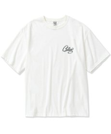 画像3: CALEE(キャリー) / CALEE Logo velour wide shilhouette s/s cutsew (3)