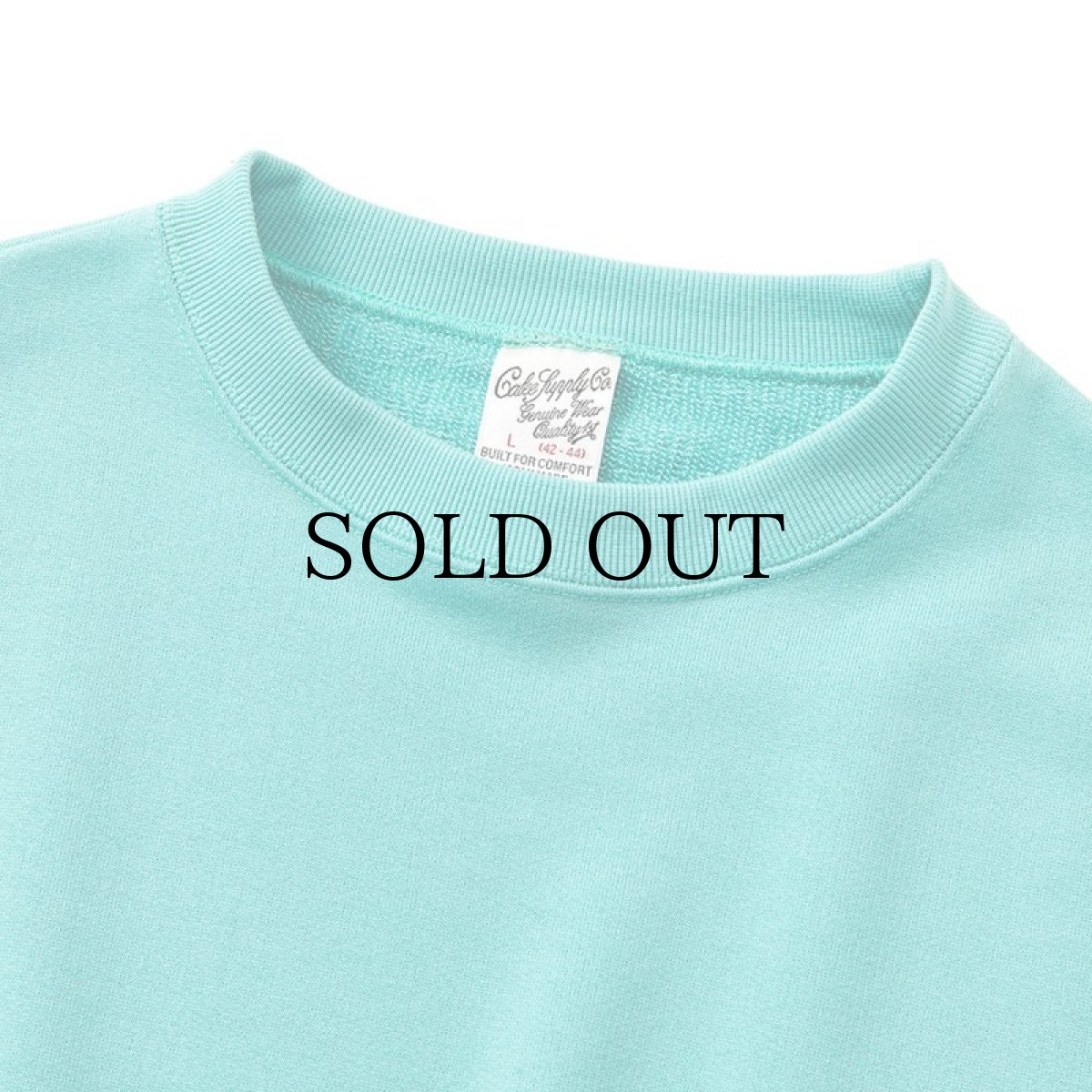 画像5: CALEE(キャリー) / Aeroknot CALEE arch logo wide silhouette S/S cutsew (5)