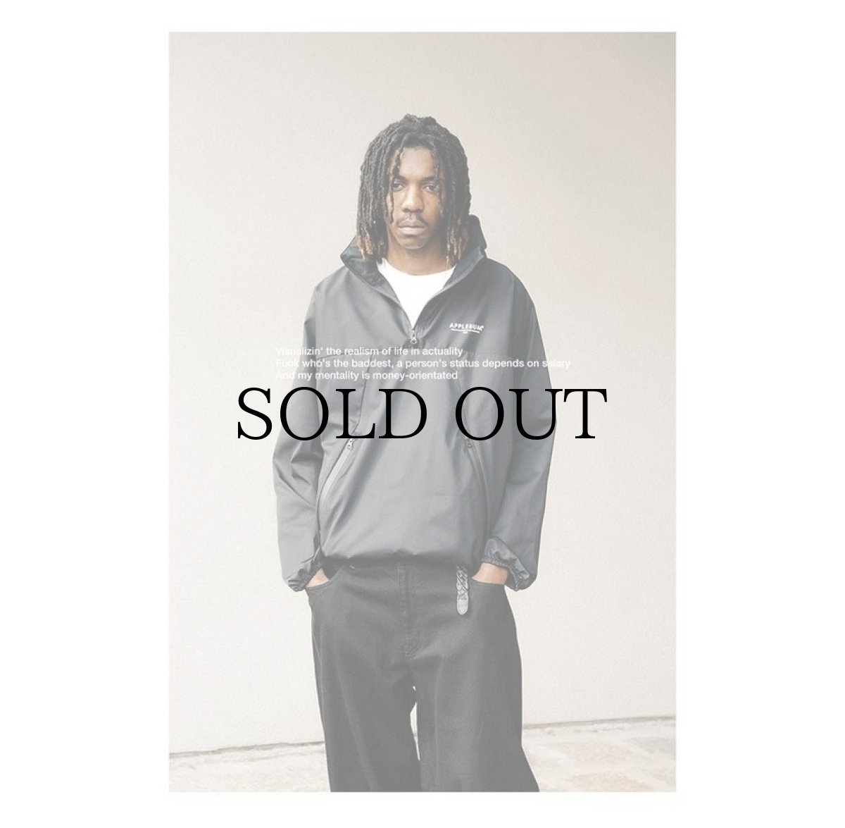 画像22: APPLEBUM(アップルバム) / High Tech Half Zip Anorak (22)