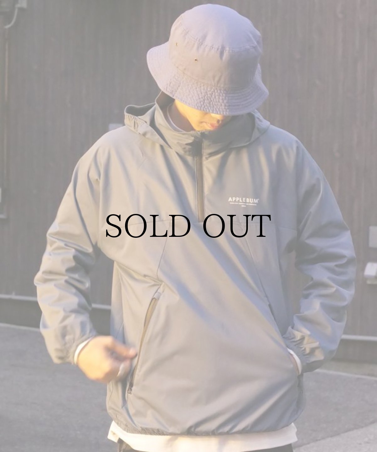 画像23: APPLEBUM(アップルバム) / High Tech Half Zip Anorak (23)