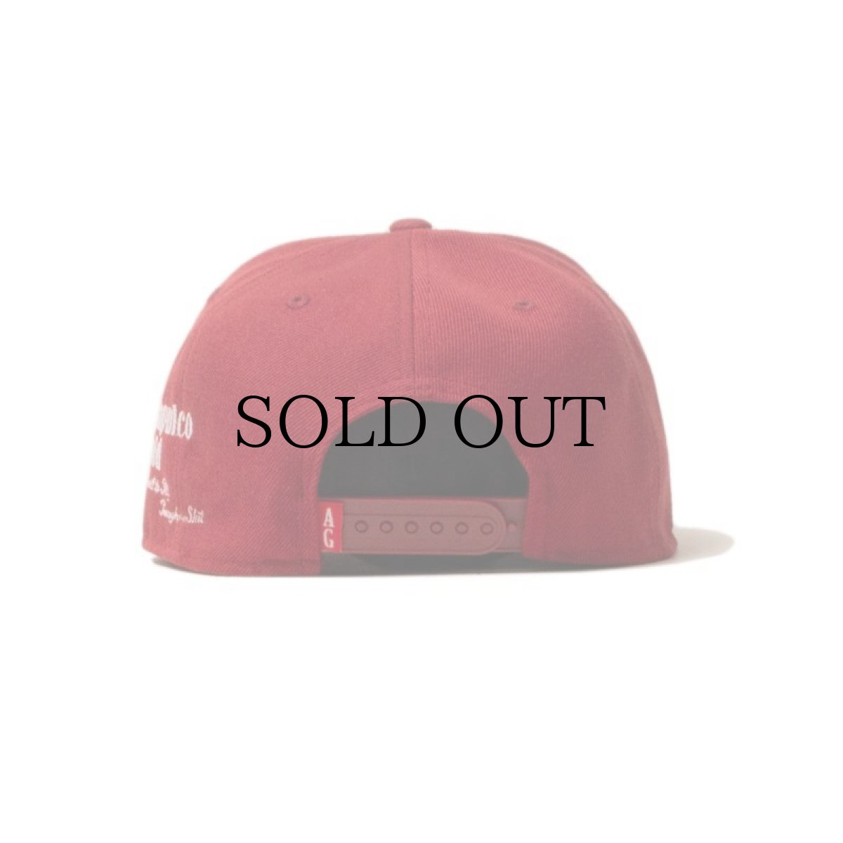 画像9: ACAPULCO GOLD / A SNAPBACK CAP (9)