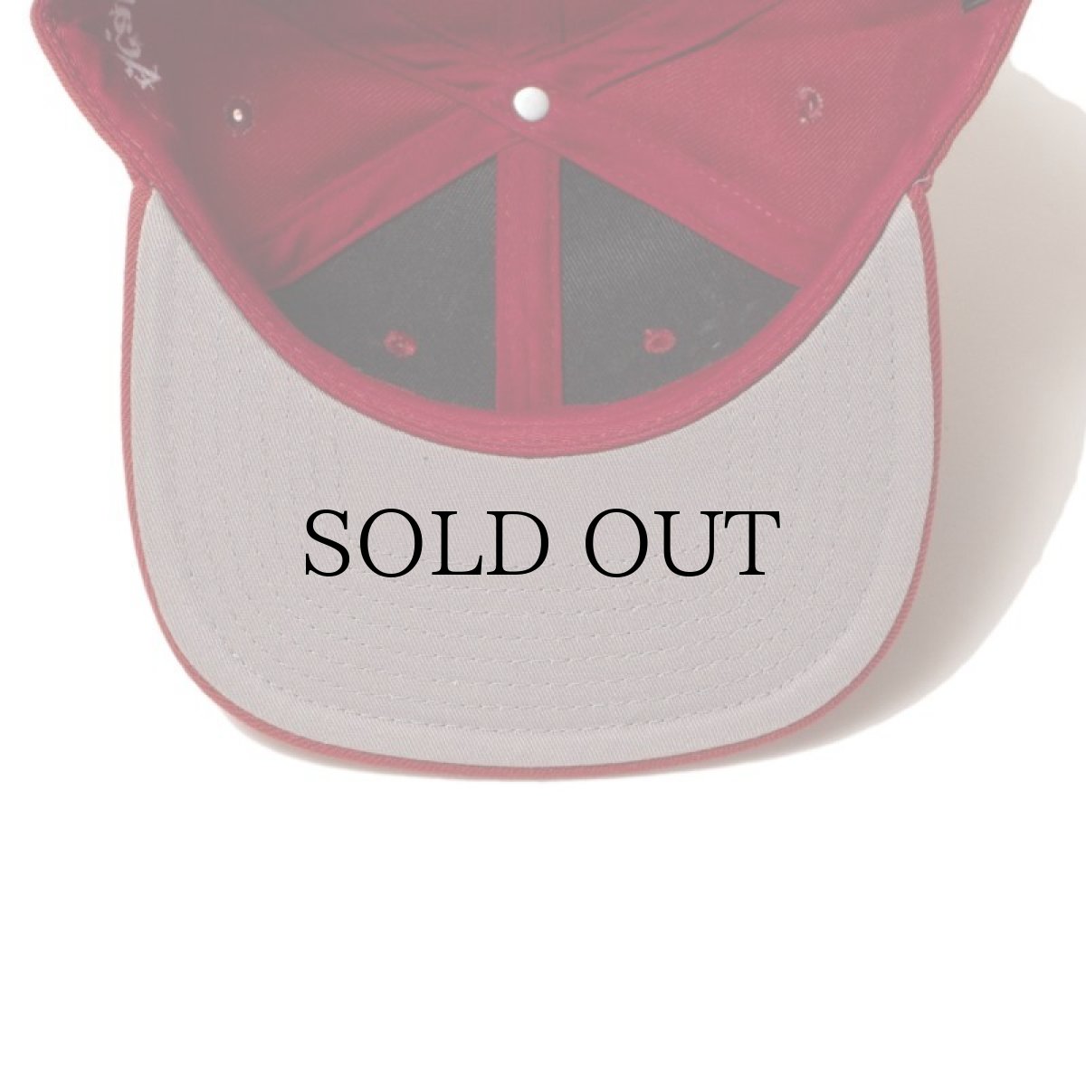 画像21: ACAPULCO GOLD / A SNAPBACK CAP (21)