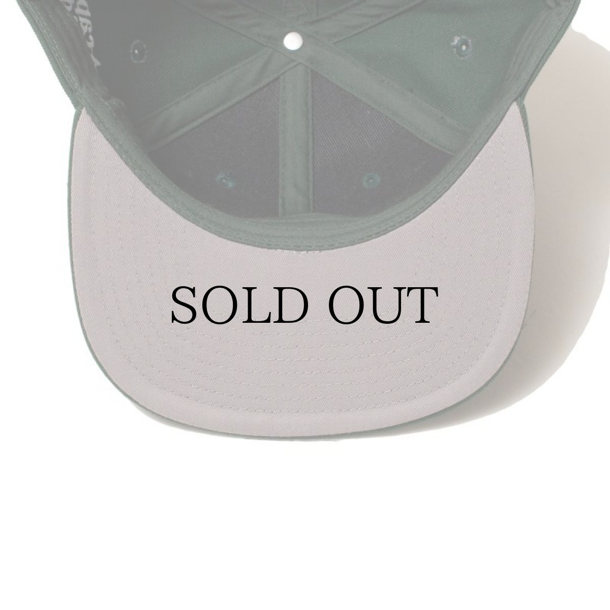 画像20: ACAPULCO GOLD / A SNAPBACK CAP (20)