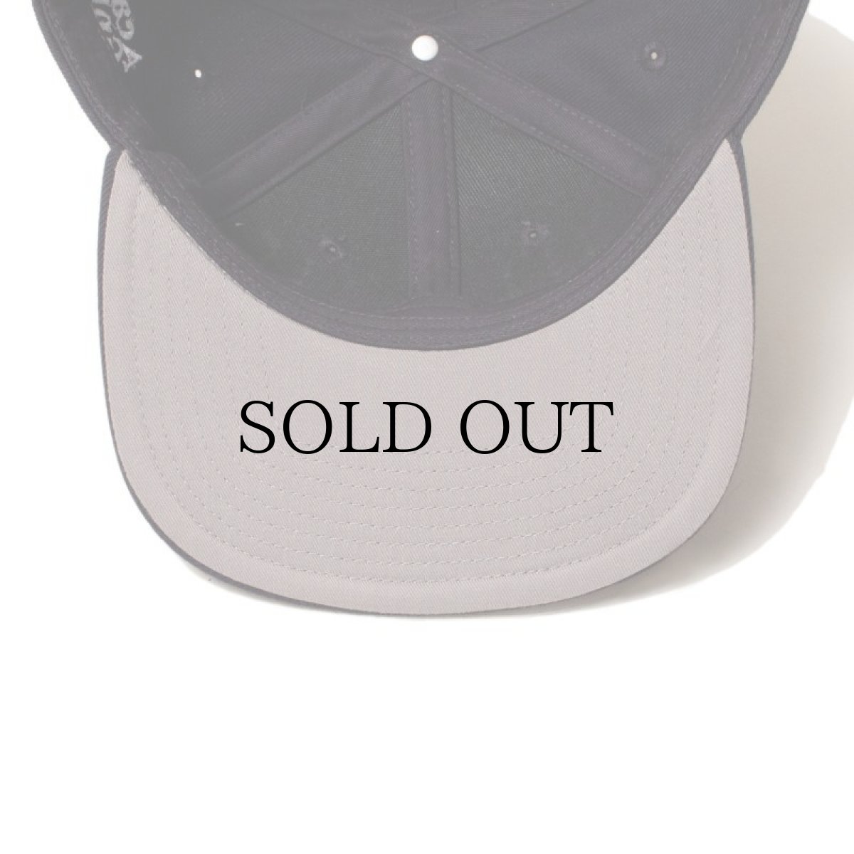 画像19: ACAPULCO GOLD / A SNAPBACK CAP (19)