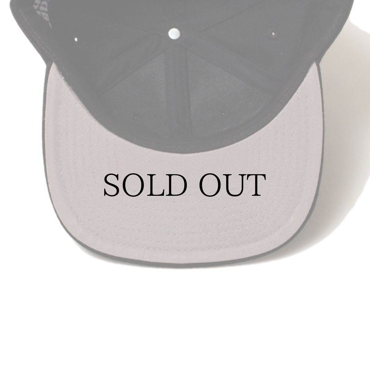 画像18: ACAPULCO GOLD / A SNAPBACK CAP (18)