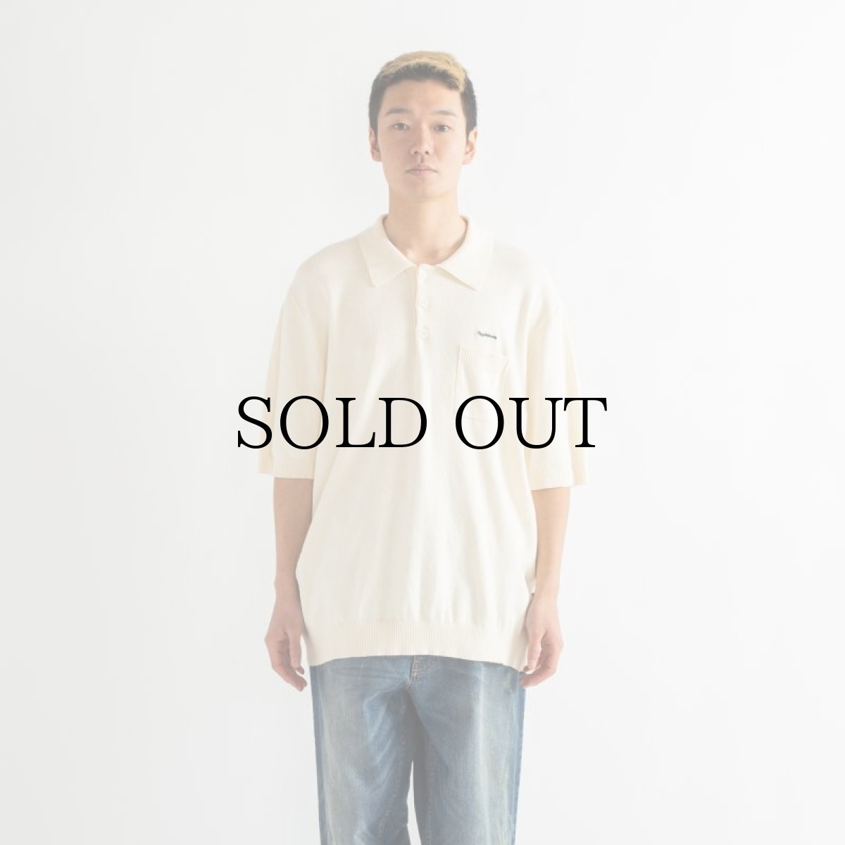 画像11: APPLEBUM(アップルバム) / Knit Polo Shirt (11)