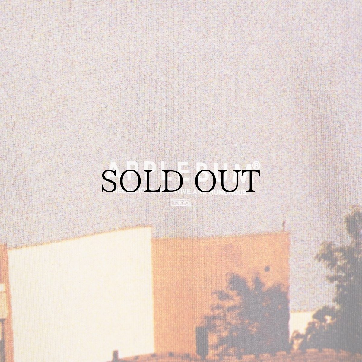 画像3: APPLEBUM(アップルバム) / "Summertime" T-shirt (3)