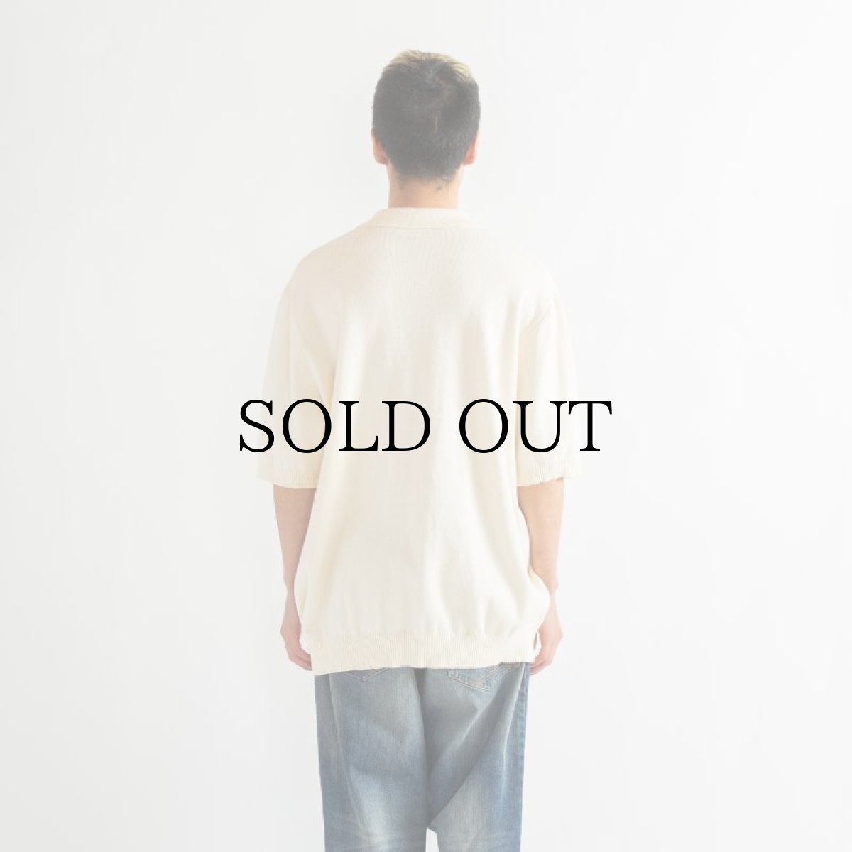 画像15: APPLEBUM(アップルバム) / Knit Polo Shirt (15)