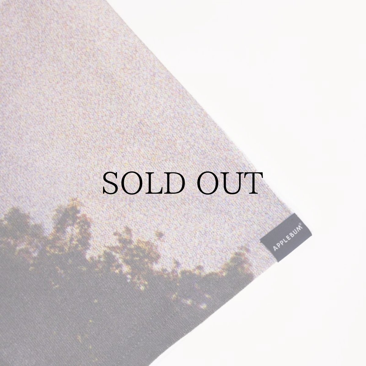 画像5: APPLEBUM(アップルバム) / "Summertime" T-shirt (5)