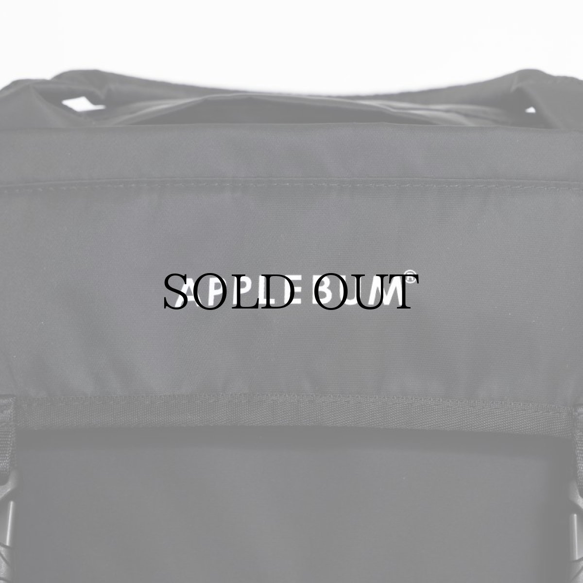 画像7: APPLEBUM(アップルバム) / 2Way Bag (Record) (7)