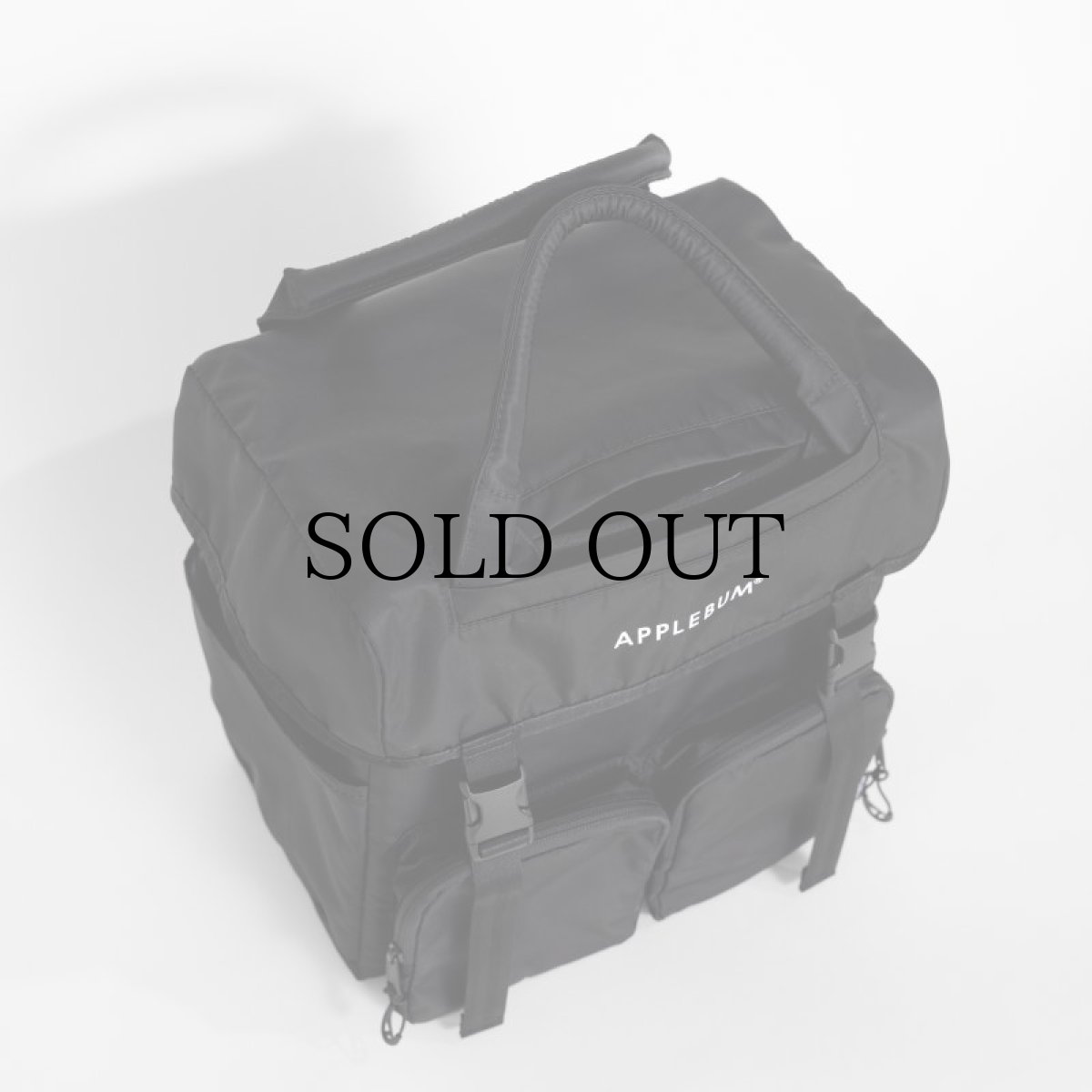 画像6: APPLEBUM(アップルバム) / 2Way Bag (Record) (6)