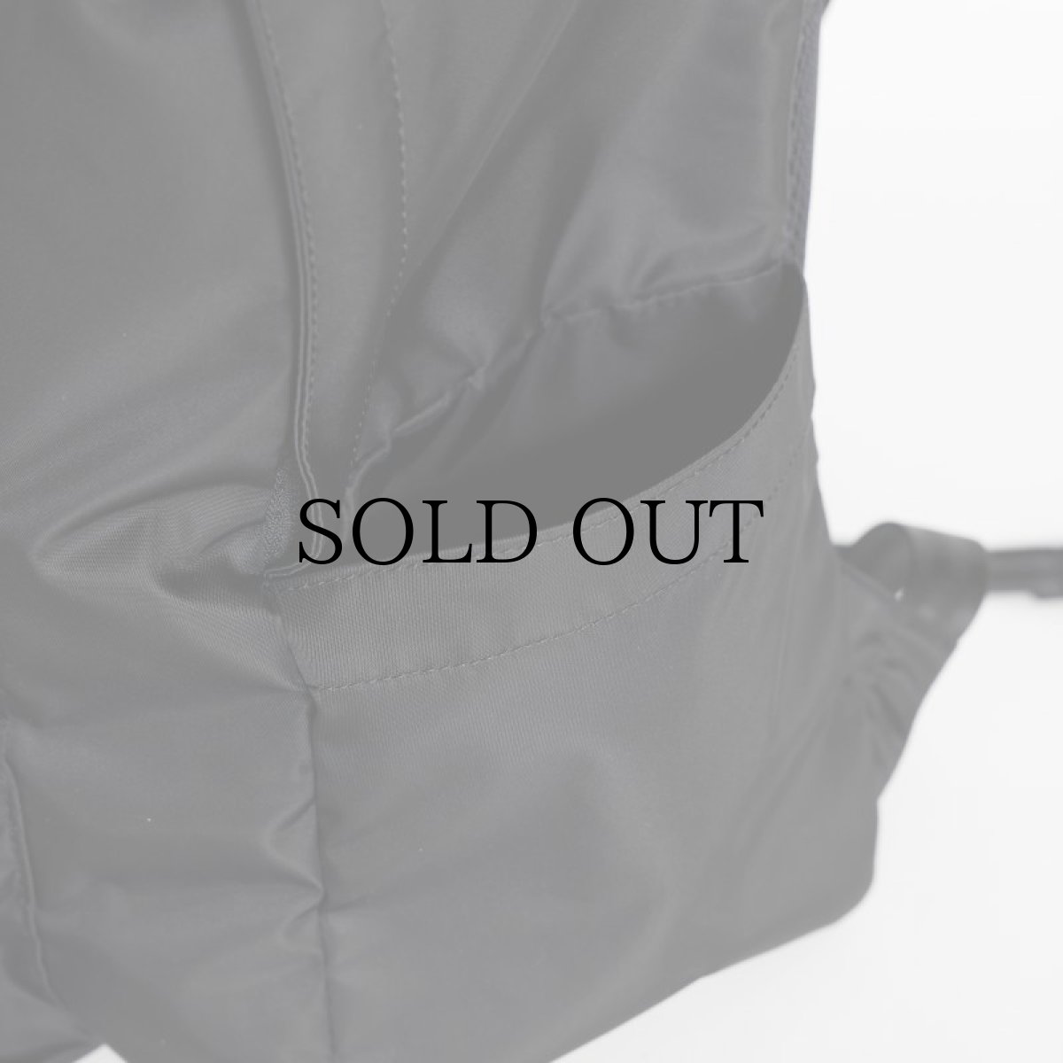 画像4: APPLEBUM(アップルバム) / Logo Big Back Pack (4)