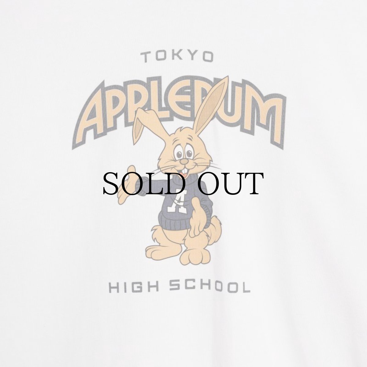 画像6: APPLEBUM(アップルバム) / "APPLEBUM High School" T-shirt (6)