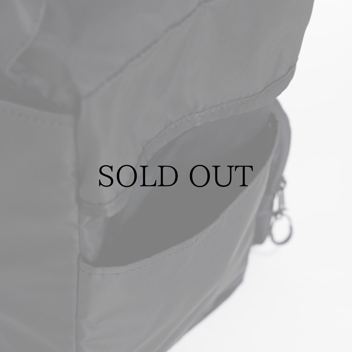 画像10: APPLEBUM(アップルバム) / 2Way Bag (Record) (10)