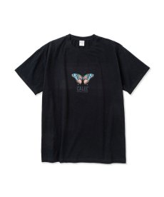 画像1: CALEE(キャリー) / ×MIHO MURAKAMI Stretch CL butterfly logo t-shirt (1)