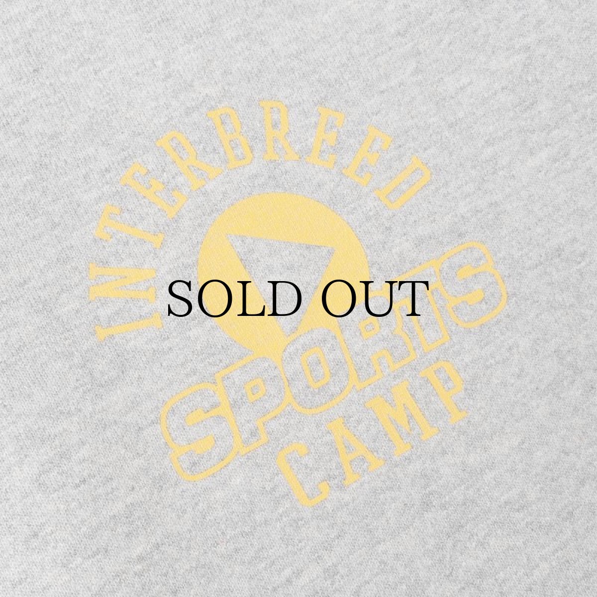 画像3: 【30%OFF】INTERBREED / Summer Camp SS Tee (3)