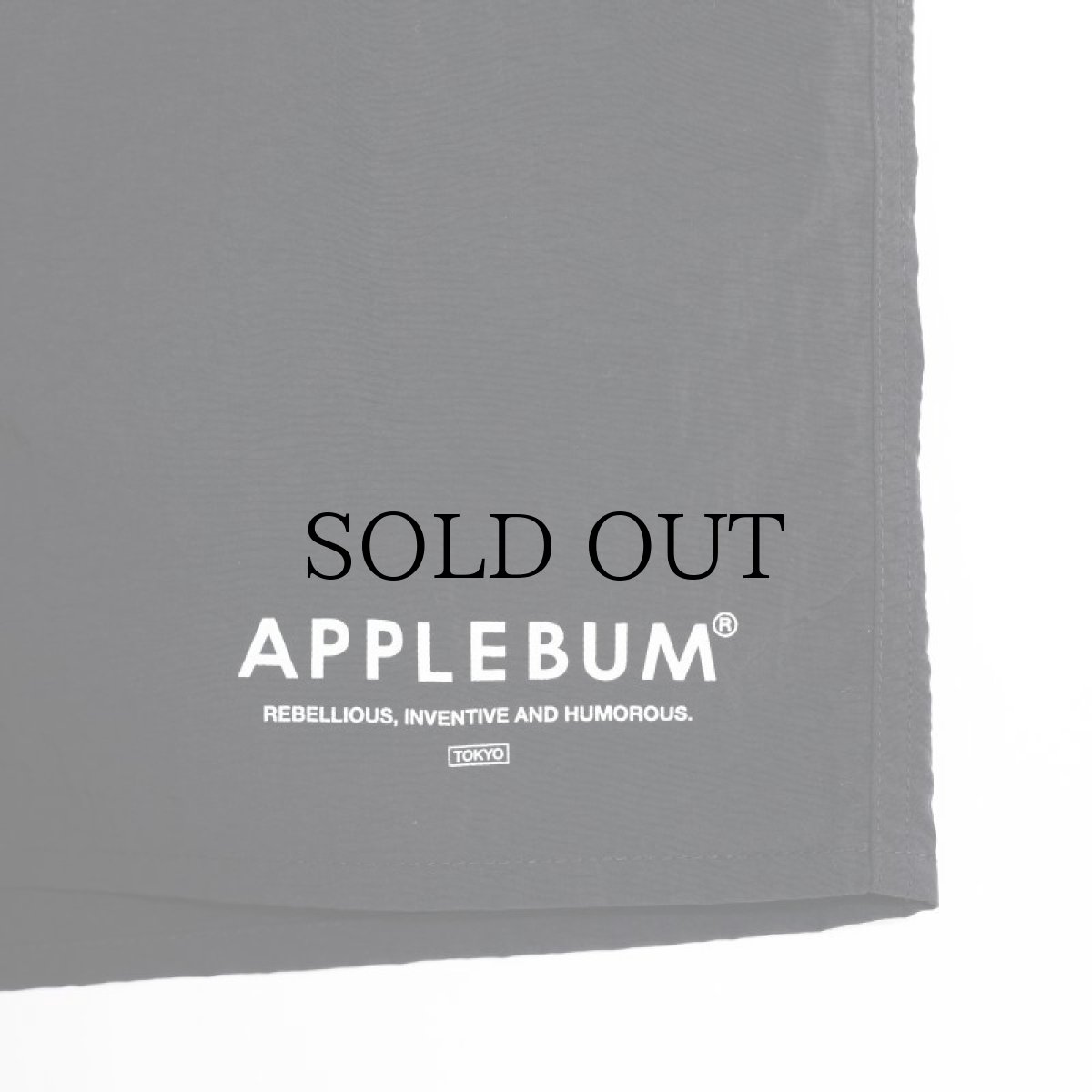 画像13: APPLEBUM(アップルバム) / Active Nylon Shorts (13)