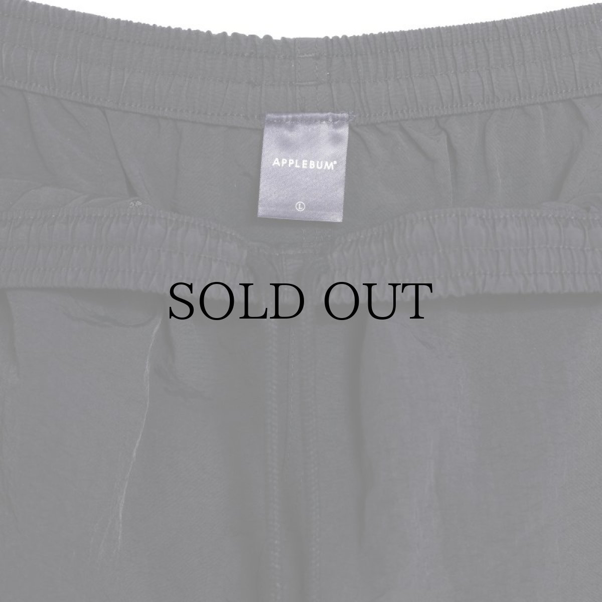 画像7: APPLEBUM(アップルバム) / Active Nylon Shorts (7)