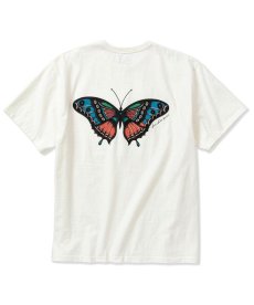 画像1: CALEE(キャリー) / ×MIHO MURAKAMI Binder neck CL butterfly logo vintage t-shirt (1)