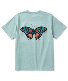 画像5: CALEE(キャリー) / ×MIHO MURAKAMI Binder neck CL butterfly logo vintage t-shirt (5)