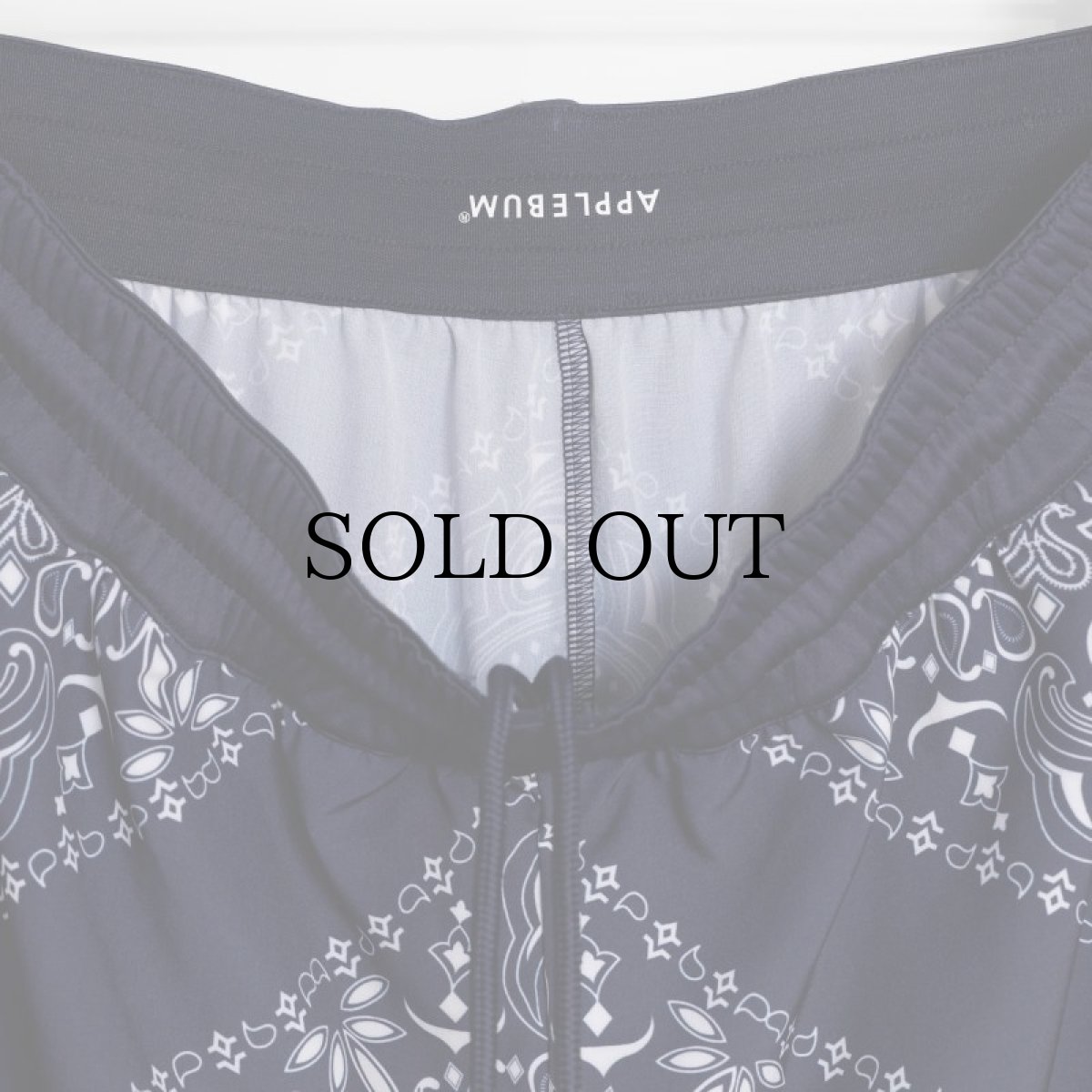 画像11: APPLEBUM(アップルバム) / Bandana Basketball Shorts (11)