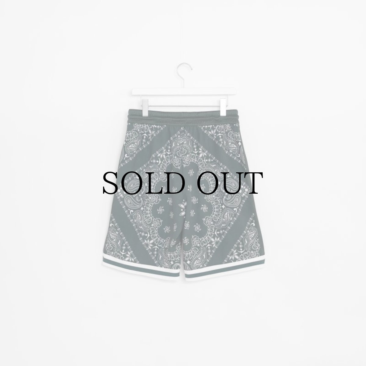 画像7: APPLEBUM(アップルバム) / Bandana Basketball Shorts (7)