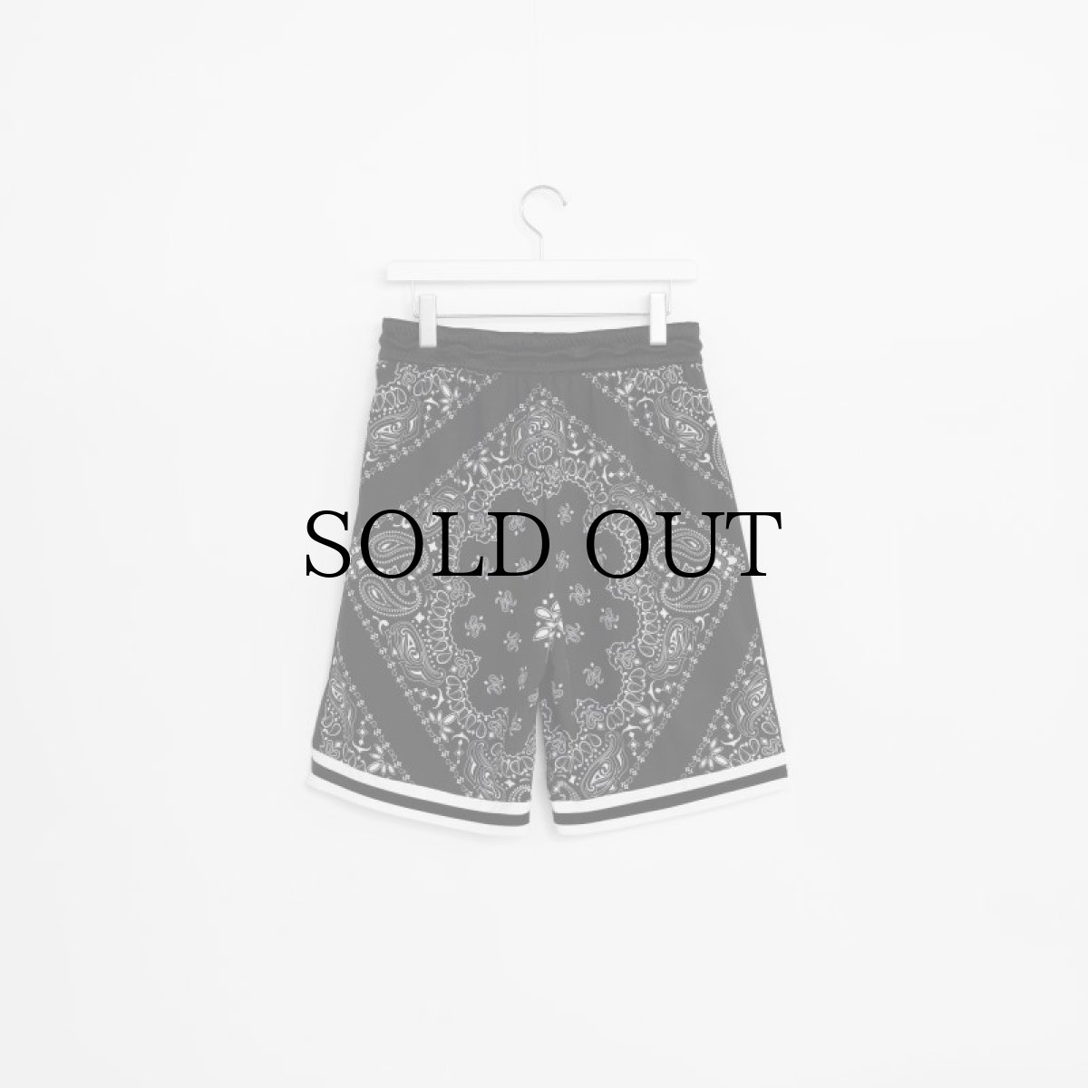 画像6: APPLEBUM(アップルバム) / Bandana Basketball Shorts (6)