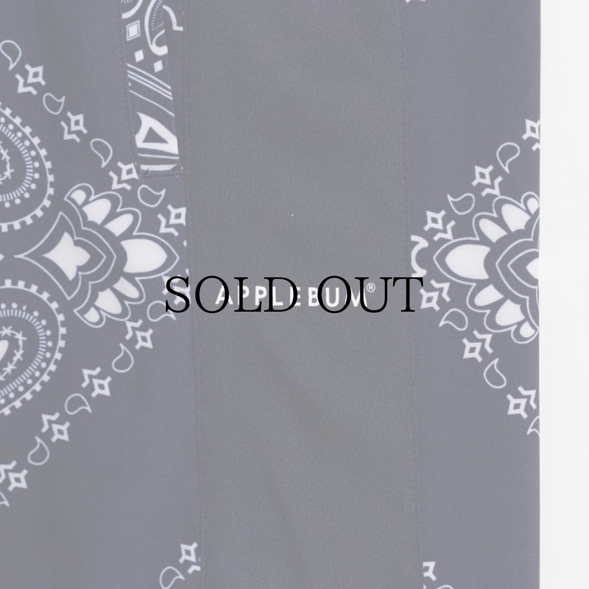 画像14: APPLEBUM(アップルバム) / Bandana Basketball Shorts (14)