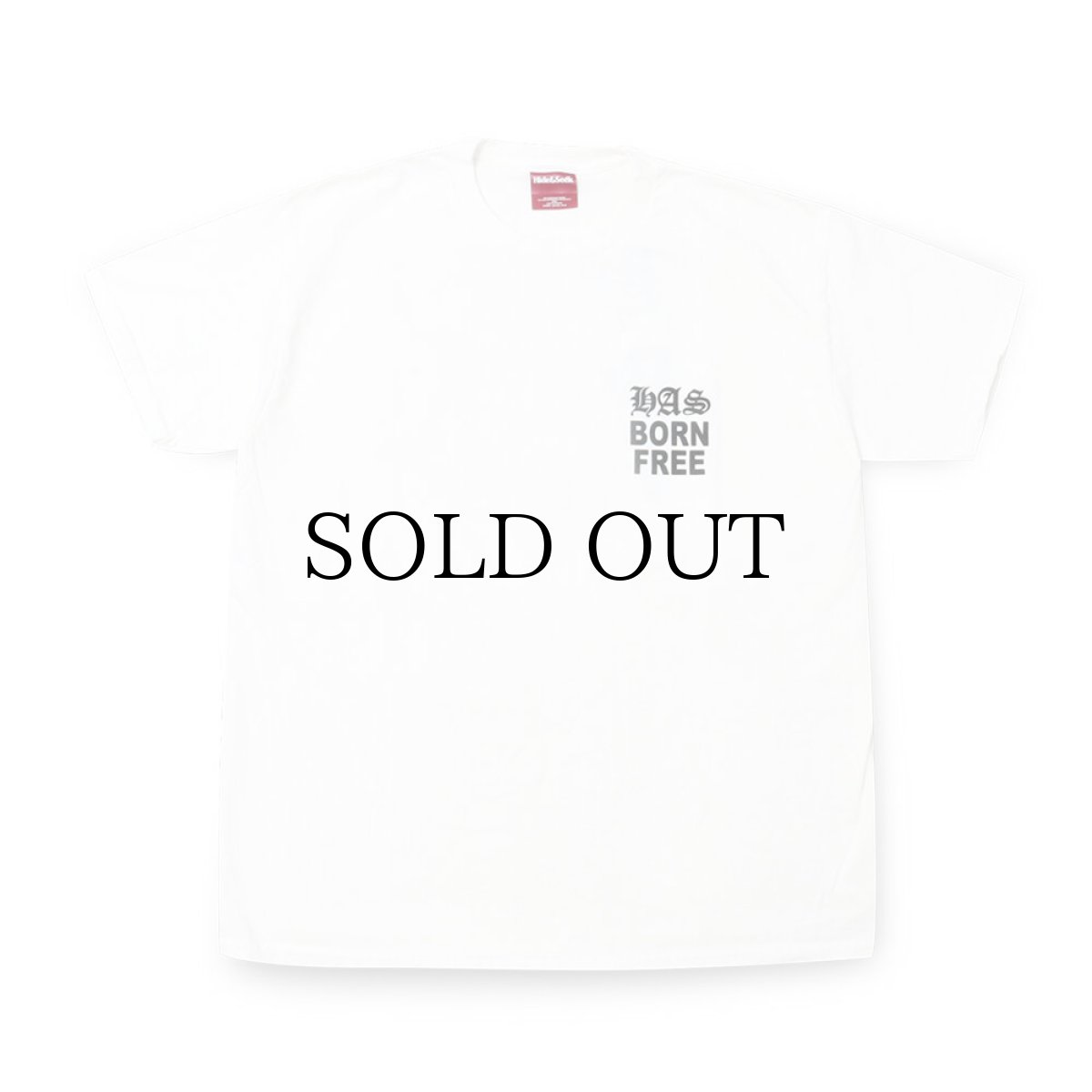 画像6: HIDEANDSEEK(ハイドアンドシーク) / HAS S/S Tee (6)