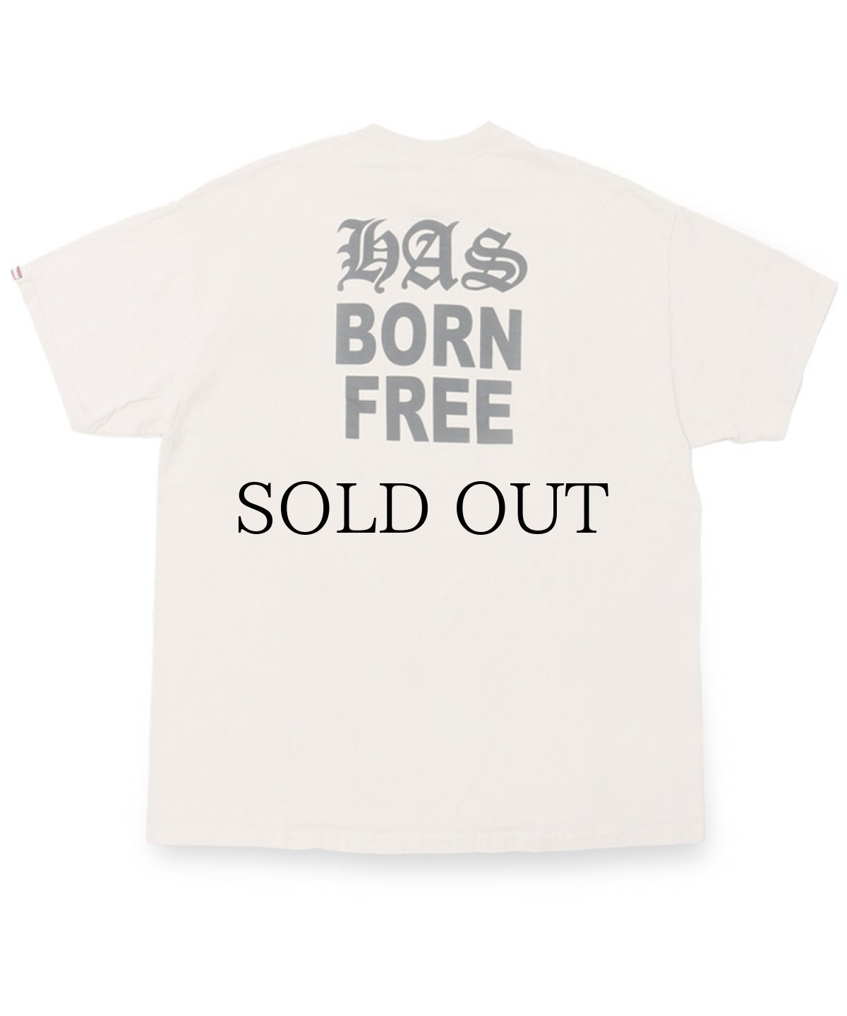 画像2: HIDEANDSEEK(ハイドアンドシーク) / HAS S/S Tee (2)