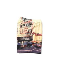 画像4: 【30%OFF】LFYT(ラファイエット) / OLD NEW YORK TEESHORTS -60s  CONEY ISLAND (4)