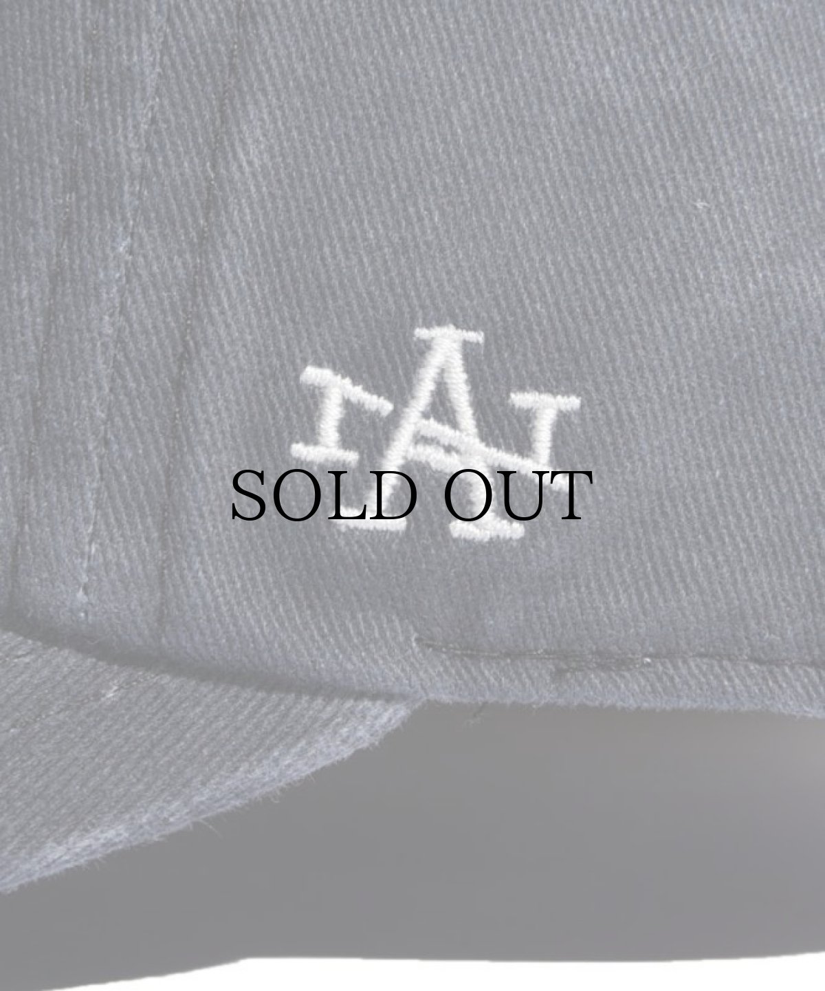 画像4: AMERICAN NEEDLE(アメリカンニードル) / ARCHIVE (ポートランド・ビーバーズ) (4)