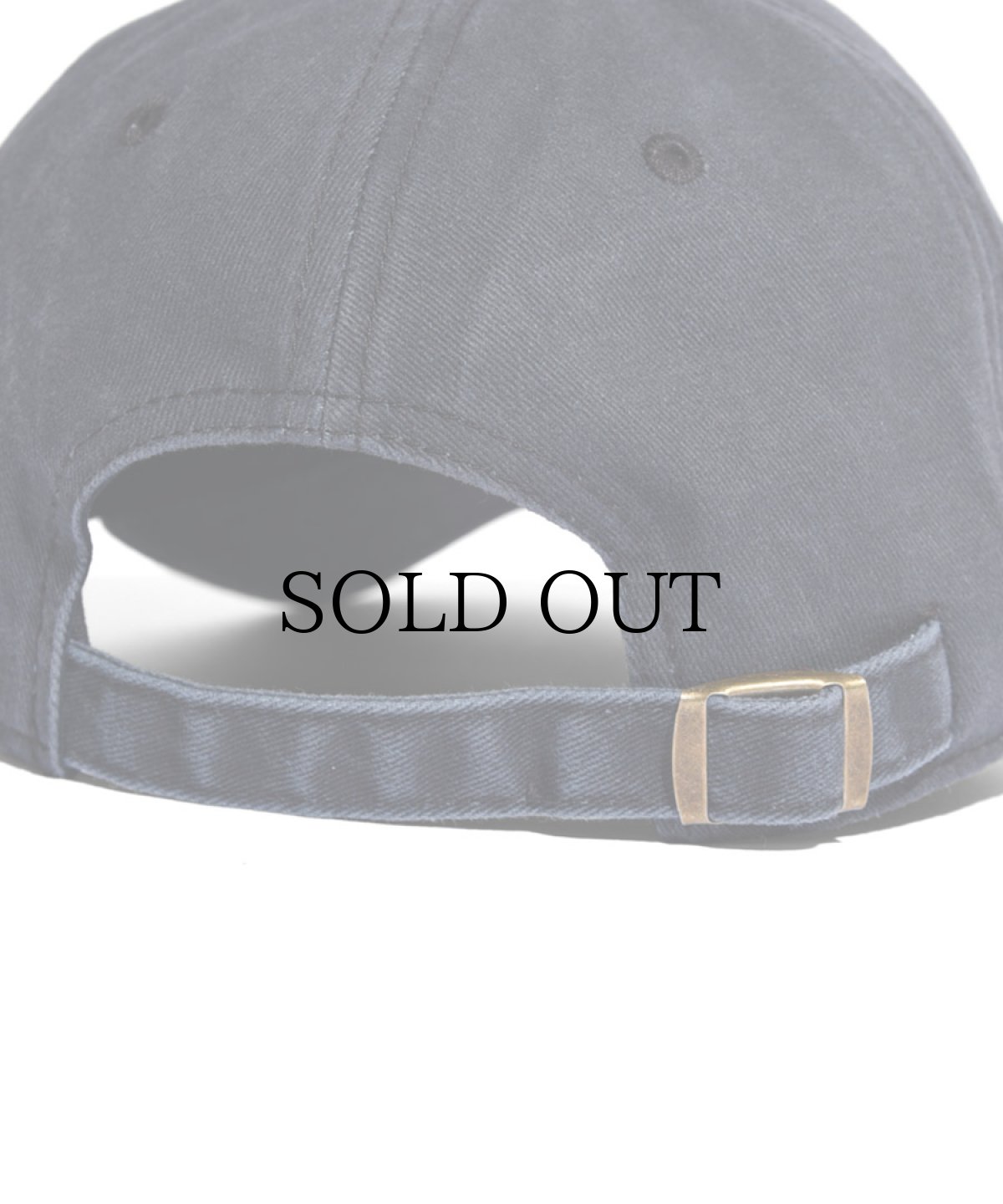 画像6: AMERICAN NEEDLE(アメリカンニードル) / ARCHIVE (ポートランド・ビーバーズ) (6)