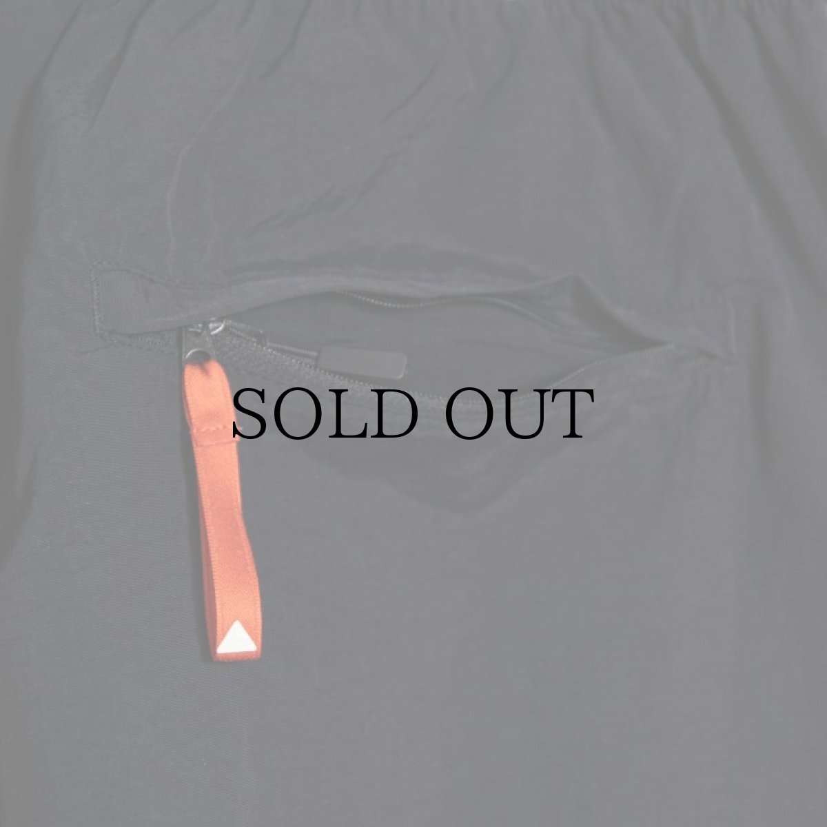 画像7: APPLEBUM(アップルバム) / Nylon Pants (7)