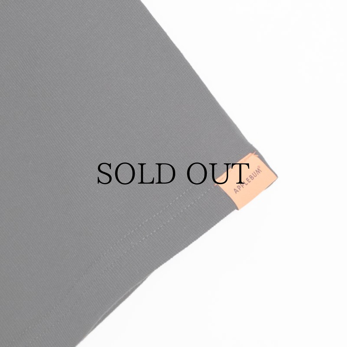 画像10: APPLEBUM(アップルバム) / "raidback fabric Logo (K.B.A.S.)" T-shirt (10)