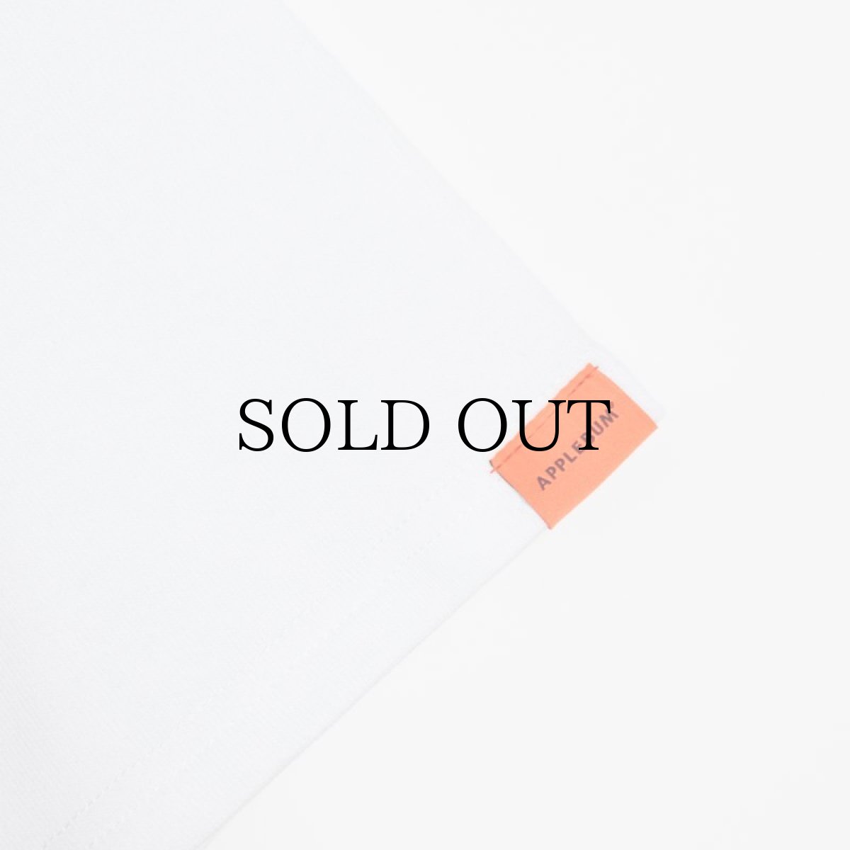 画像9: APPLEBUM(アップルバム) / "raidback fabric Logo (K.B.A.S.)" T-shirt (9)