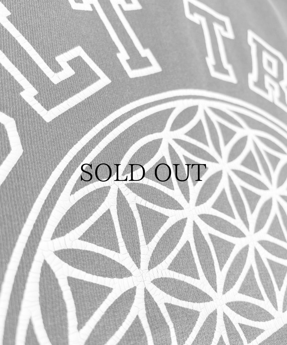 画像4: WANNA / "CULT TRUE” tee SUMI (4)