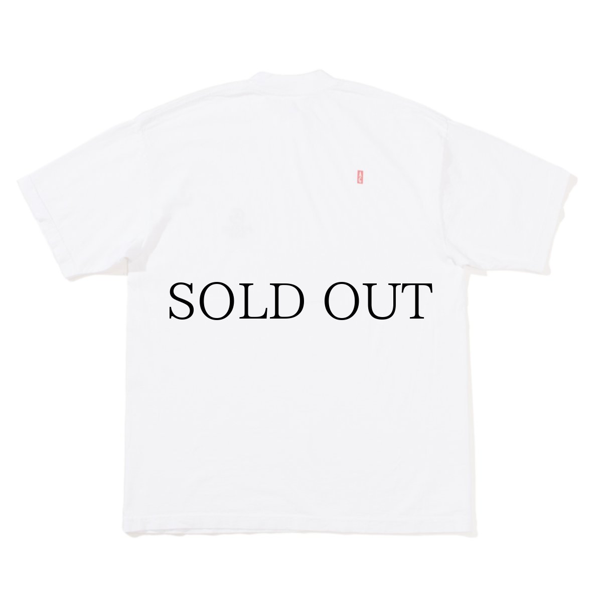 画像7: ACAPULCO GOLD / TECH TEE (7)