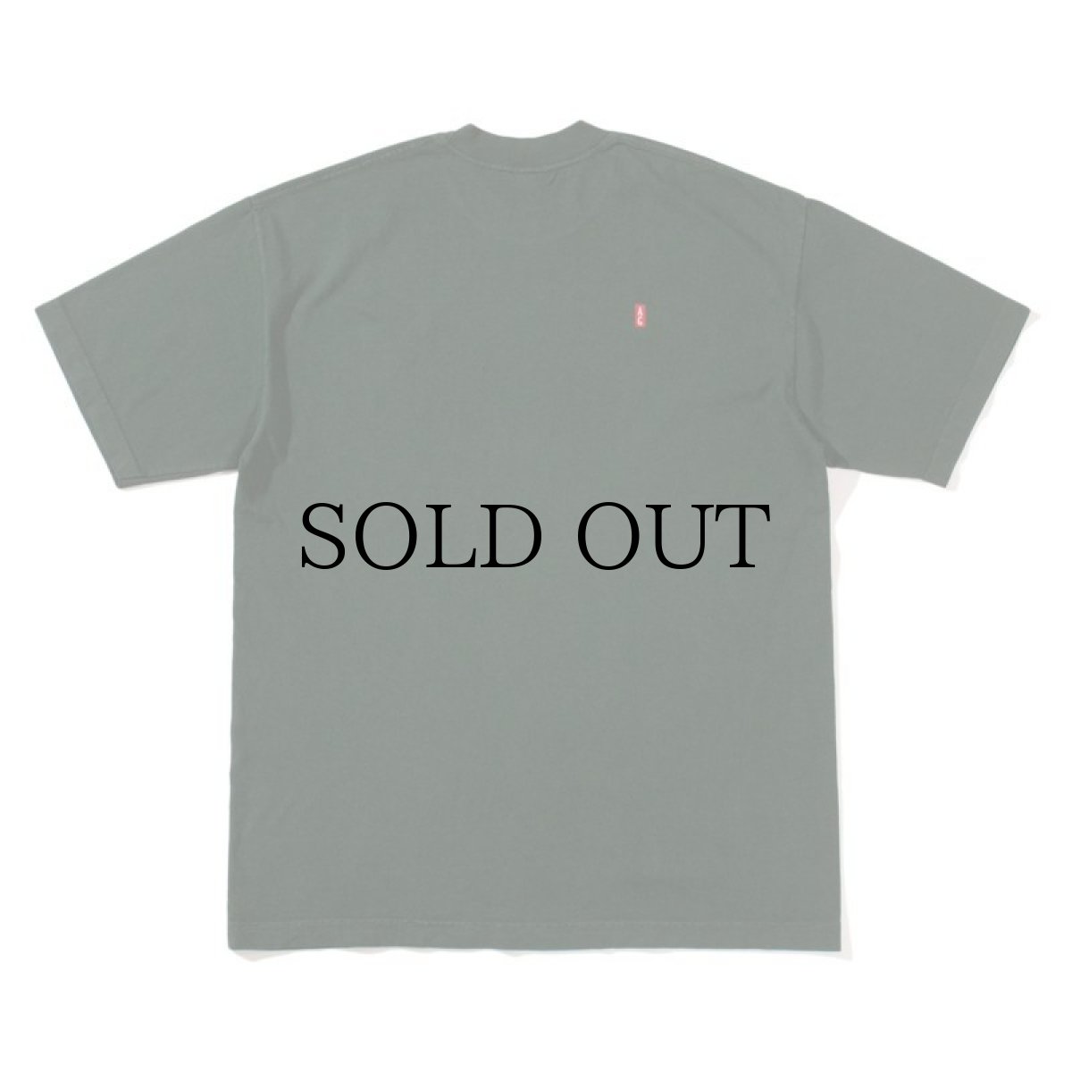 画像11: ACAPULCO GOLD / TECH TEE (11)