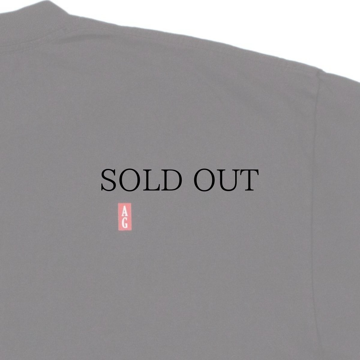 画像5: ACAPULCO GOLD / TECH TEE (5)