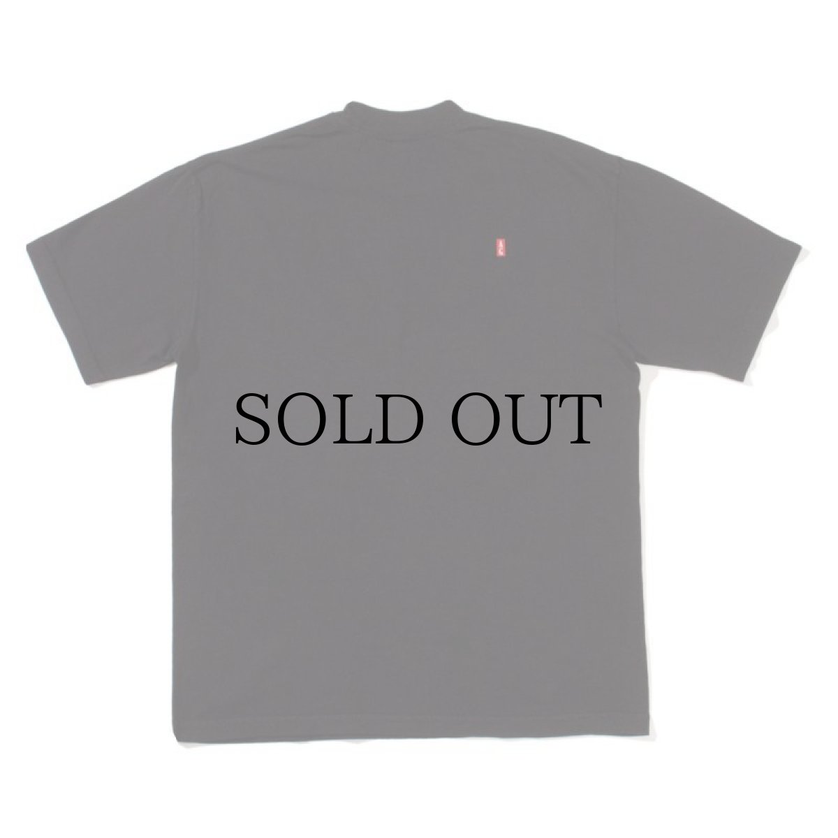 画像3: ACAPULCO GOLD / TECH TEE (3)