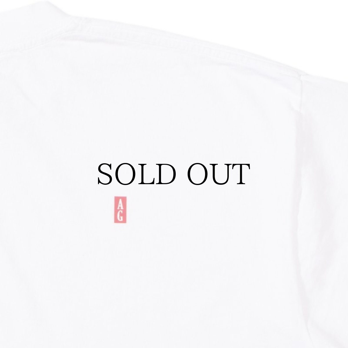 画像9: ACAPULCO GOLD / TECH TEE (9)